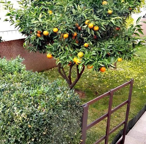 Apartament Tena